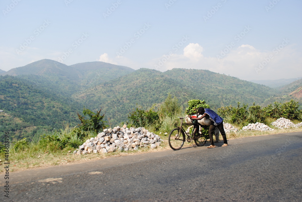 Transport de bananes à vélo dans la campagne au Burundi, Afrique