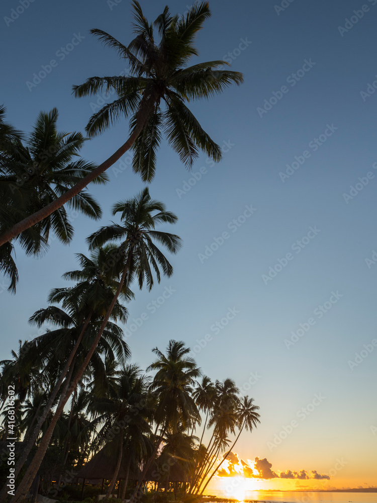 Obraz premium Fiji, Vanua Levu. Beach sunset with palm trees.