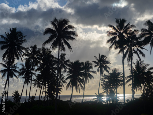 Fiji  Taveuni Island. Beach sunset with palm trees.
