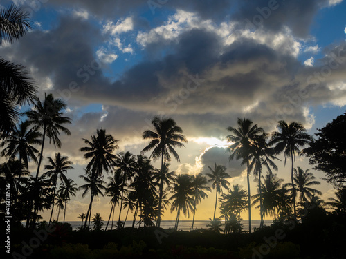 Fiji  Taveuni Island. Beach sunset with palm trees.