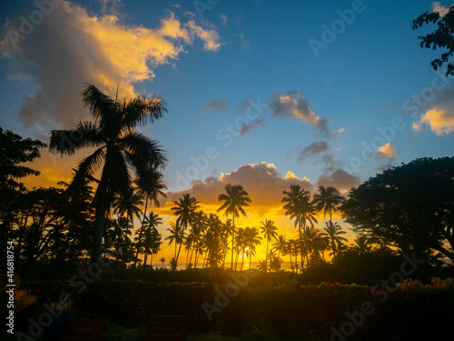 Fiji, Taveuni Island. Beach sunset with palm trees.