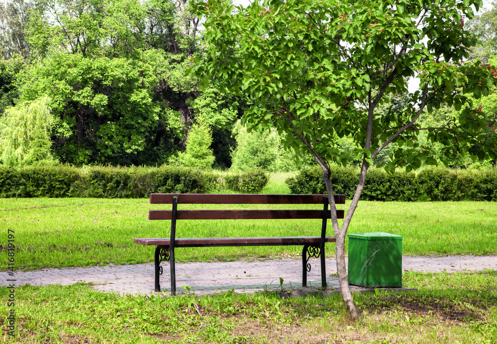 bench in the park