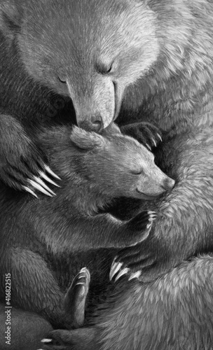 Mother bear hugs the bear cub. Realistic monochrome hand drawing. Detail of an illustration about motherhood. Mothers Day.