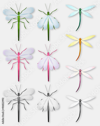 Set with water striders and dragonflies. Colored and monochrome insects isolated on light background