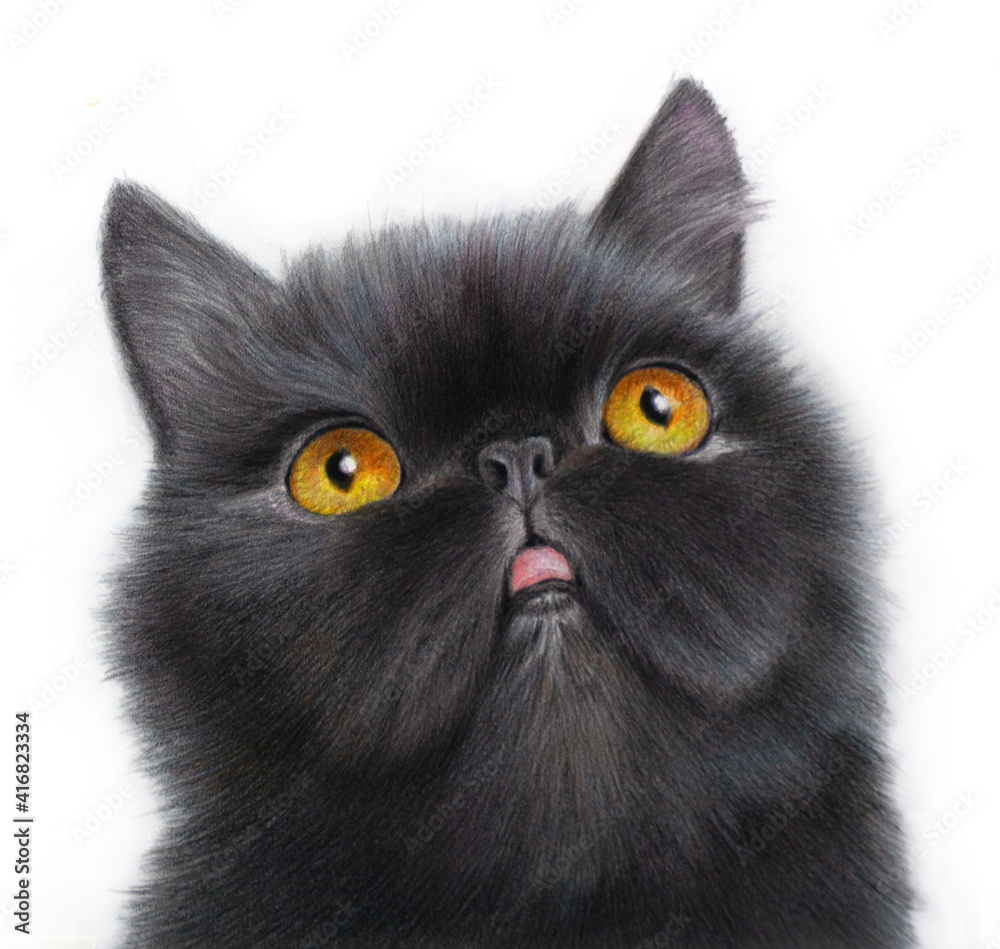 Hyper-realistic portrait of a black cat with yellow eyes. Isolated on a white background.