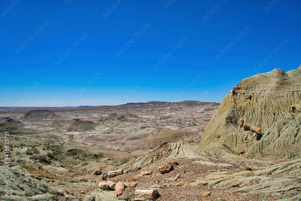 Argentina, Chubut. Petrified Forest Natural Monument.