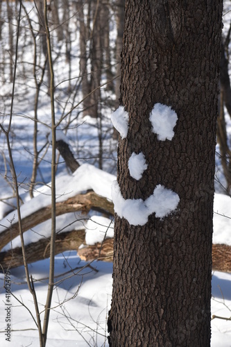 A smile made of snow
