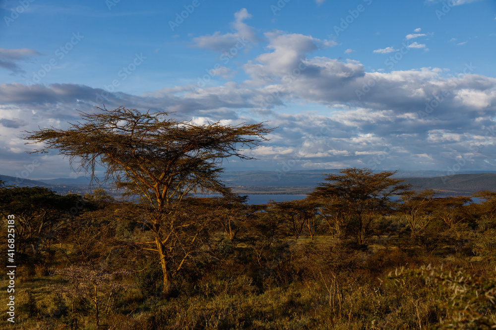 Kenia
