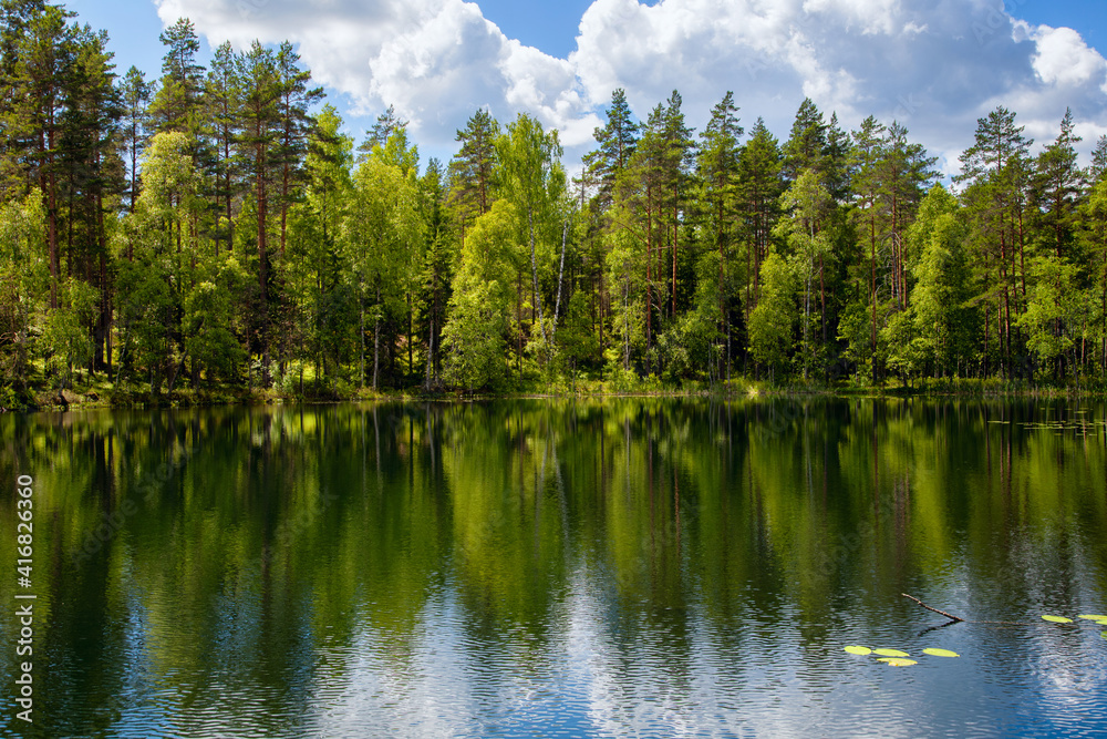 Beautiful landscape on the shore of lake forest.