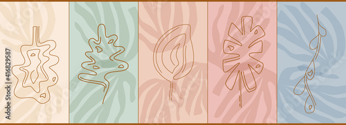 A set of boho style cover templates, fancy tropical leaves in a linear style. In the background is the shadow of monstera. Vector illustration. Solid line. Muted colors.