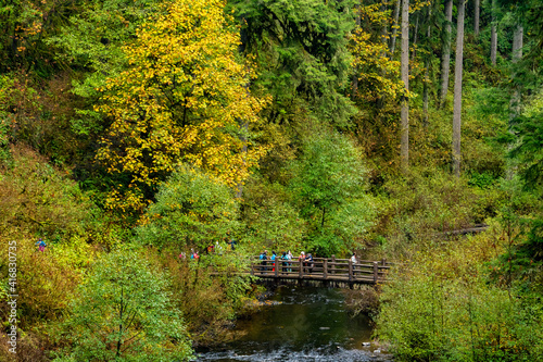 A group of hikers are on the bridge over Silver Creek, just below the South Falls, at Silver Falls State Park near Silverton Oregon.