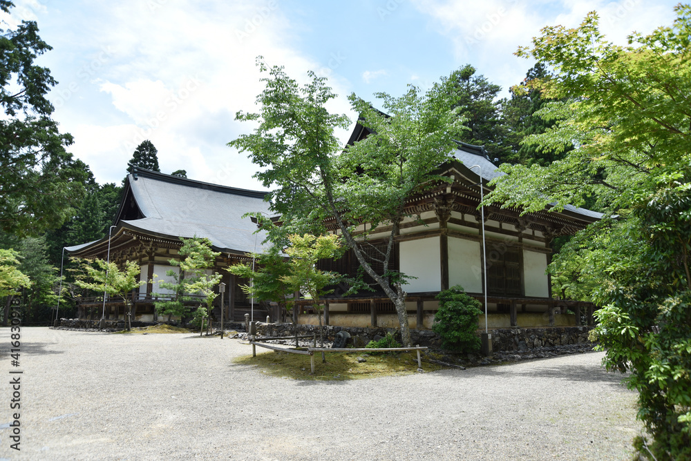 新緑の神護寺　五大堂と毘沙門堂　京都市高雄