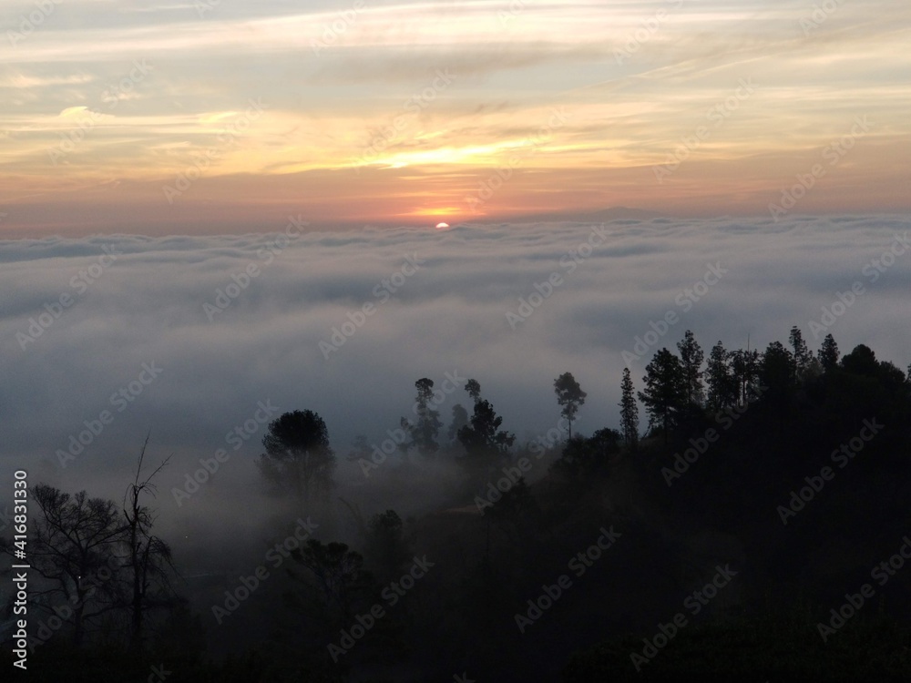 Obraz premium city in fog