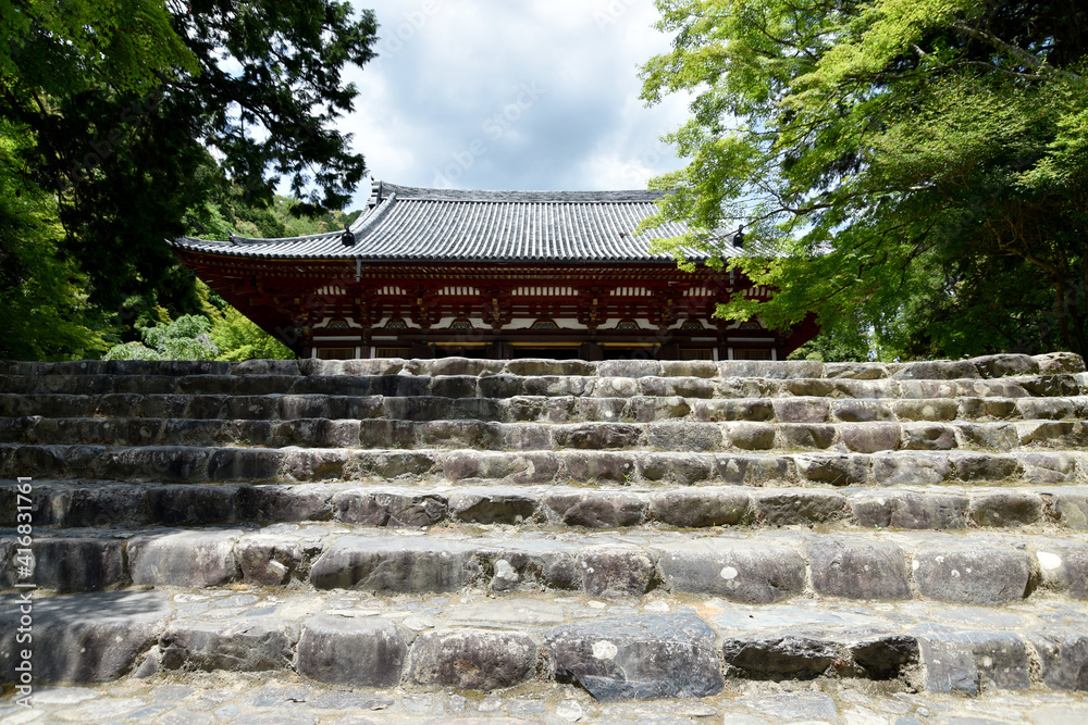 新緑の神護寺　金堂と石段　京都市高雄