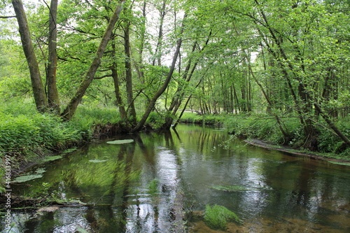 River landscapes in northern Germany   Flusslandschaften in Norddeutschland
