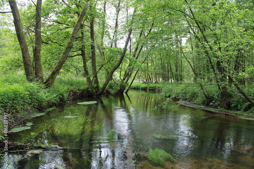 River landscapes in northern Germany / Flusslandschaften in Norddeutschland