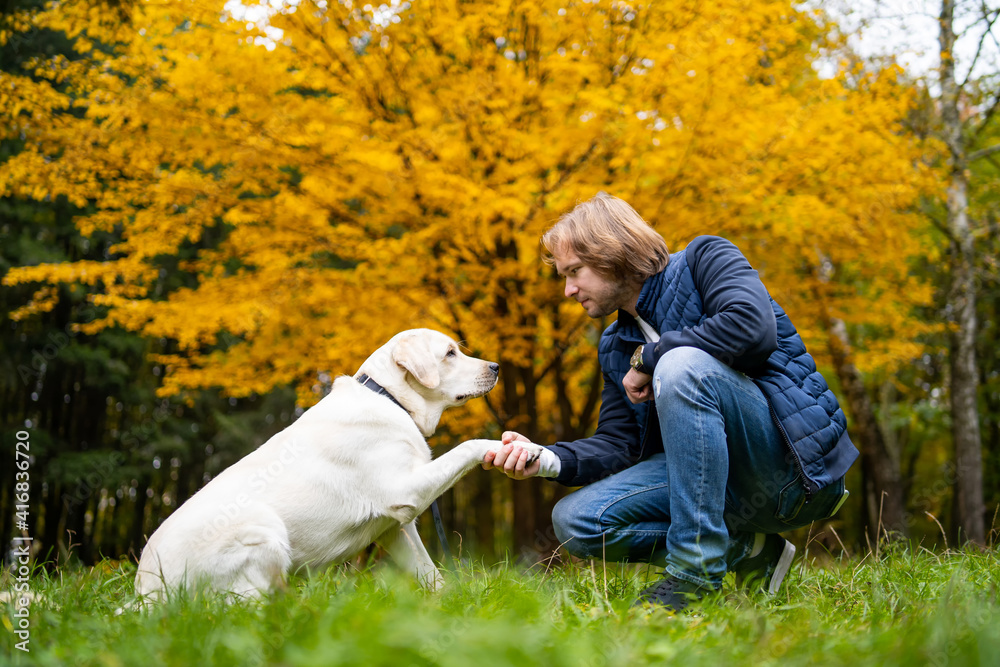 Domestic dog retriver gives five to man owner. Golden autumn trees background. Long haired man with dog.