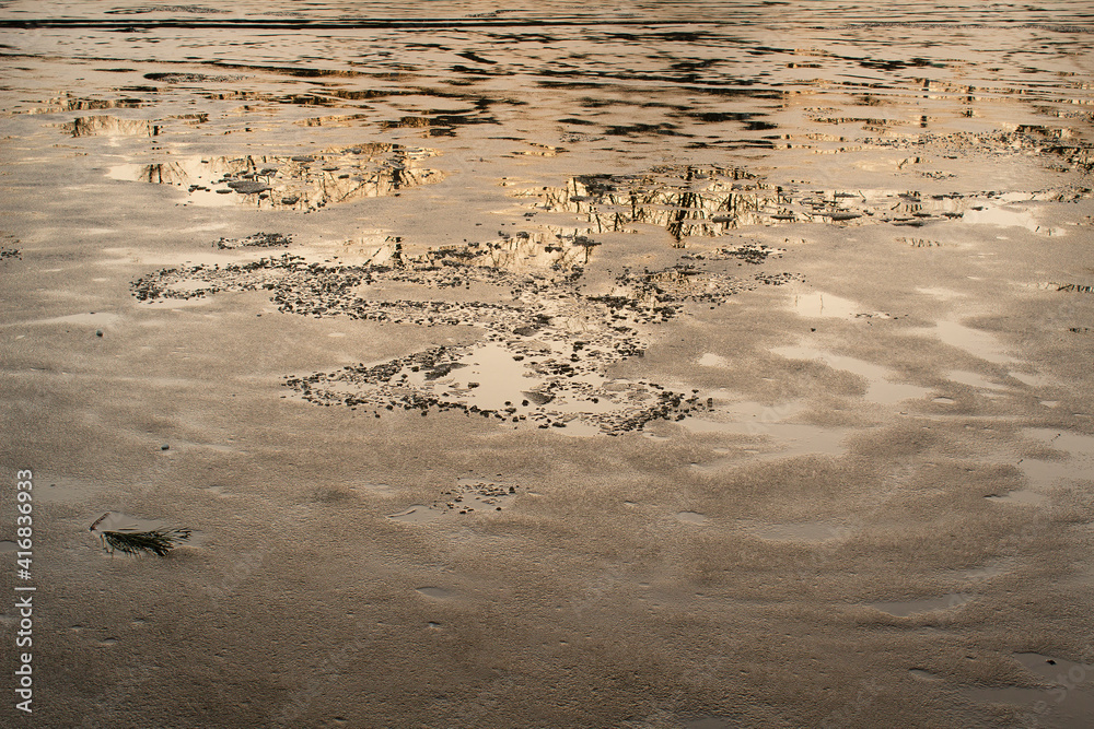 Obraz premium Abstract trees spring nature reflections on icy town water pond surface