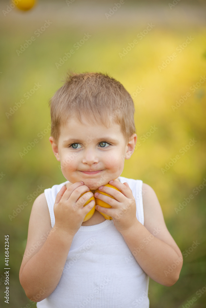 A cute boy with blond hair in a white T-shirt with summer lemons in the garden under a tree A cute boy with blond hair in a white T-shirt with summer lemons in the garden under a tree