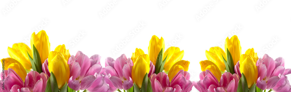 Spring background. Flower in garden at spring day. Flower for decoration and agriculture concept design. Colorful flower. Beautiful flower in tropical garden. flower detail. flower pattern. f Spring background. Flower in garden at spring day. Flower for decoration and agriculture concept design. Colorful flower. Beautiful flower in tropical garden. flower detail. flower pattern. f