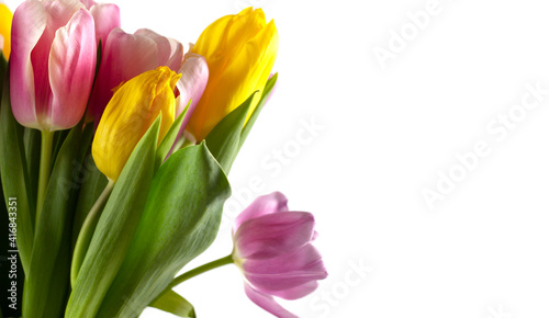 Spring background. Flower in garden at spring day. Flower for decoration and agriculture concept design. Colorful flower. 