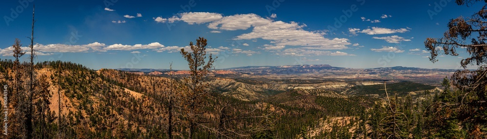 Panorama view of american burned nature around Bryce canyon national park in Utah, america