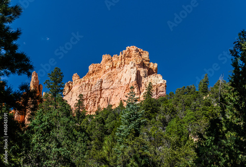 sandstone rock behind green trees agains blue sky at sunny day in Bryce canyon national park in Utah, america