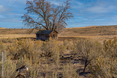 Fototapeta Naklejka Na Ścianę i Meble -  An old ranch out building or shed with sage bruch in the forgroundnear, Tygh Valley, Oregon