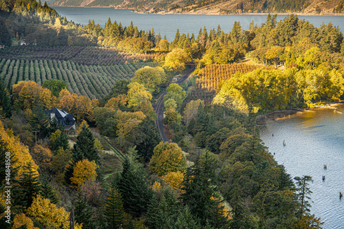 Railroad tracks curving through a pear orchard adjacent to the Colunbia River at Hood River Oregon. photo