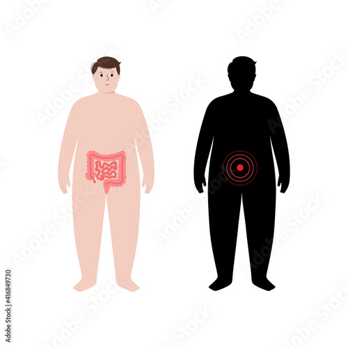 Organs in obese human body