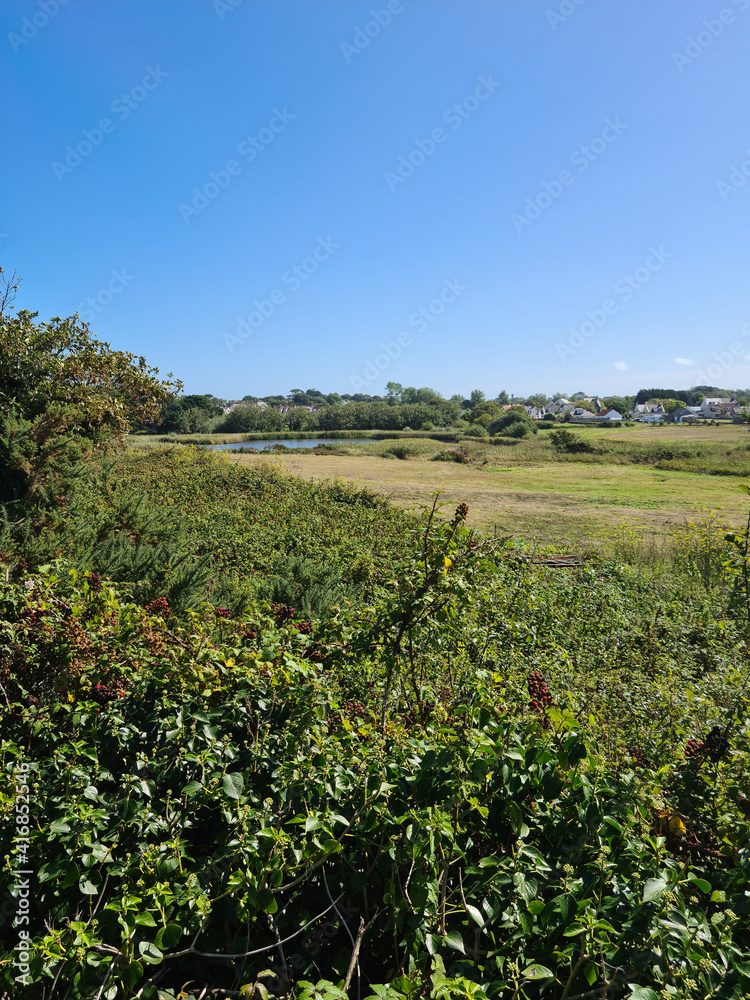 Guernsey Channel Islands, Vale Pond