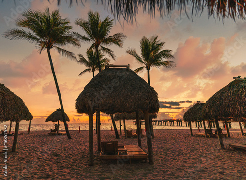 Canvas Print tropical paradise sea sun sand palms coconut tree beautiful place cute bridge be