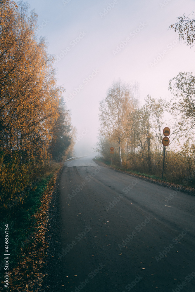 Road in the fog