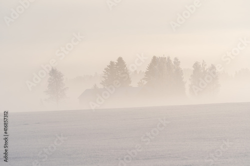 Foggy winter silhouette
