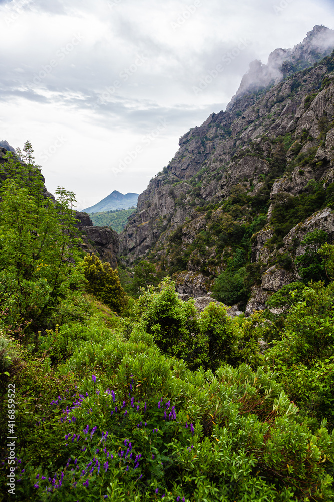 Corsica Corsica