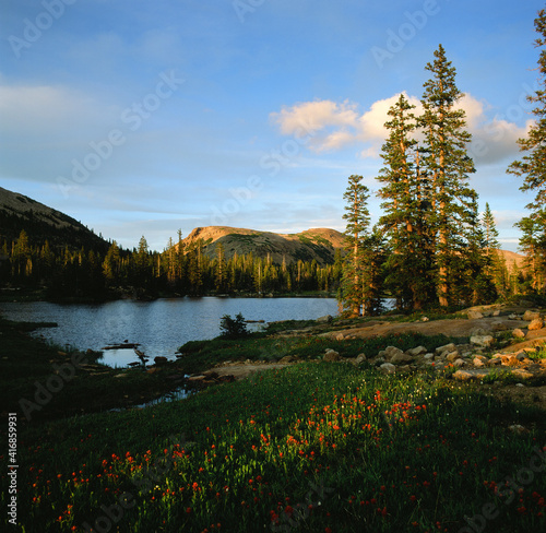 Принти на полотні Uinta National Forest, Ut