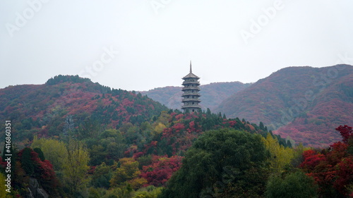 Chinese temple tower on the mountain, autumn colorful trees