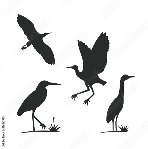 illustration of a flock of cranes birds.