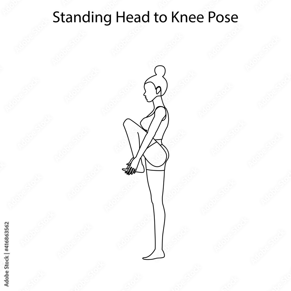Standing head to knee pose yoga workout outline Standing head to knee pose yoga workout outline