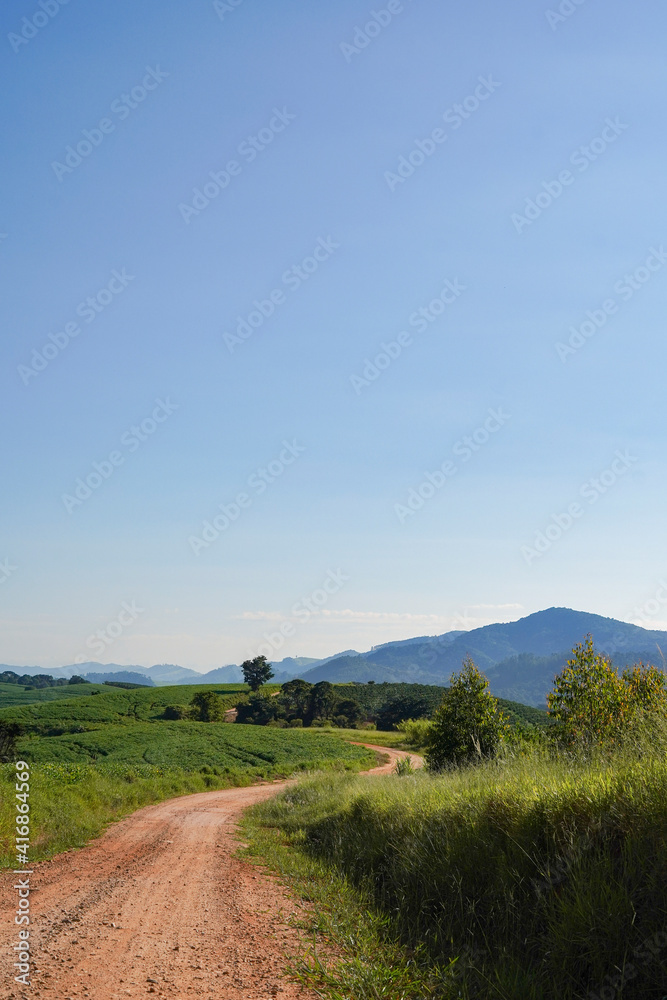 Fototapeta premium landscape mountain grass and sky