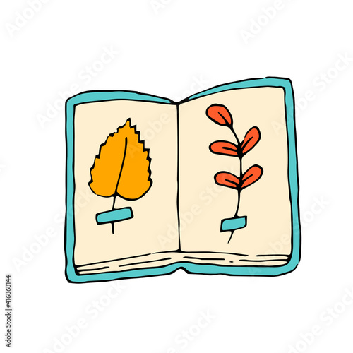 Herbarium. Dried leaves in a book. Vector hand drawn doodle illustration.