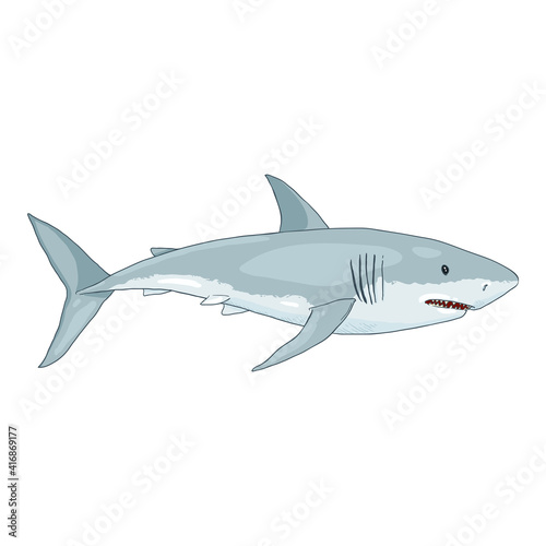 Vector Cartoon Great White Shark.