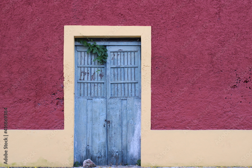 puerta antigua azul con vegetación endémica y muros rosa de gran tamaño