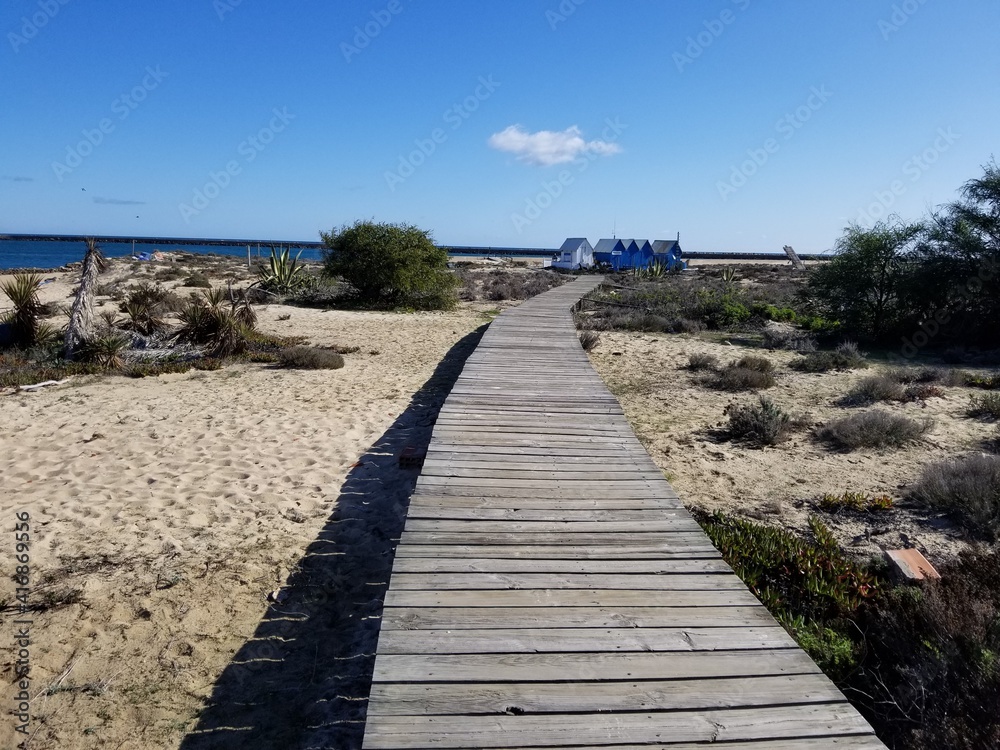 boardwalk to the beach