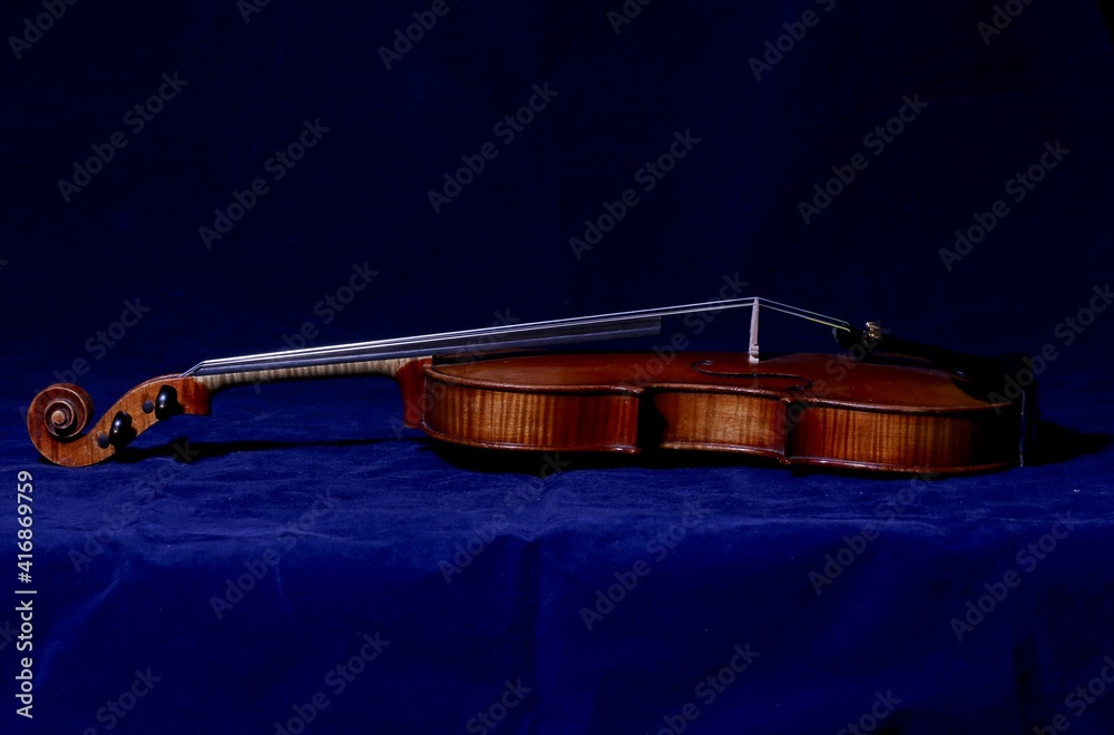 Obraz premium violin