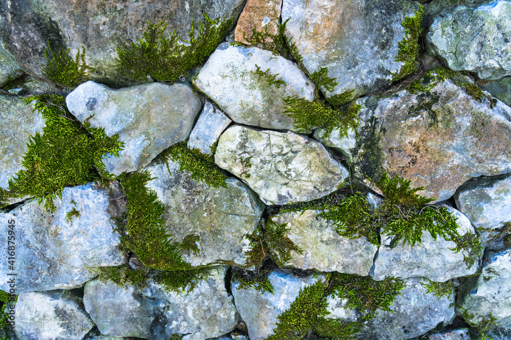 Wall made of stone with moss between stones as a natural background Wall made of stone with moss between stones as a natural background