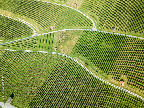 Aerial drone image of vineyard in summer time with tool huts photo