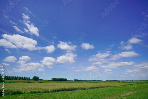 Green agriculture and fields in the countryside, sunny blue sky and beautiful clouds