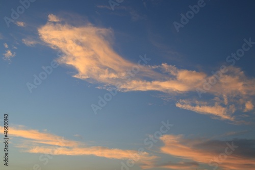 Beautiful sunset clouds in blue sky © Wheat field