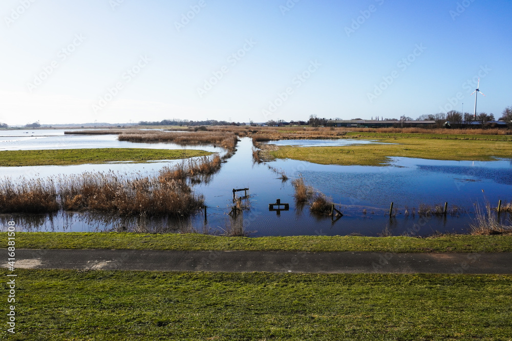A wide nordic landscape with grass, water, reed on a sunny day with blue sky. Nature reserve.